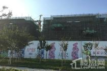 涌泰·澜湾实景图